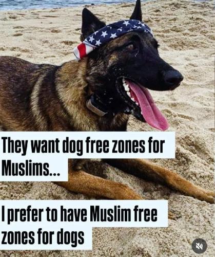 17715861556581526097312154007977_911947693525657