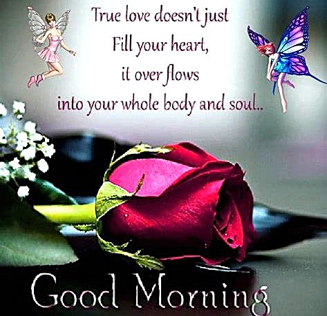 022526 - Tue Love Rose, butterfly, angel