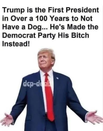 17635517263048793167445446052836_114370180234911