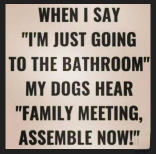 9096f9093e7326d4a73dda95d598a15f