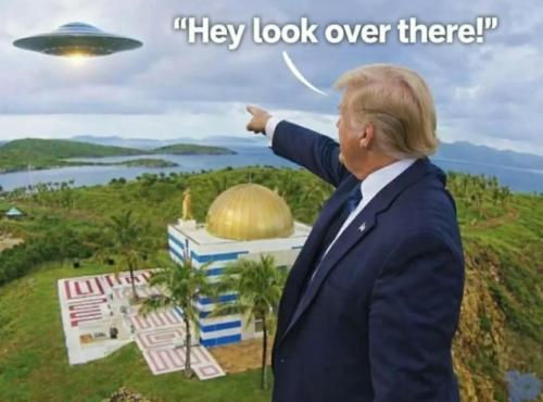 image_618F6D65-2C88-4697-A06A-78C508C5FC35