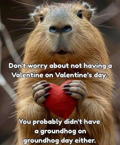 y7J2svYOeOEA7jdfIijT_13_25bd8556cc1100e1f5a060e204e8950a_image