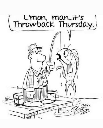 Screenshot_20260205_064036_Gallery