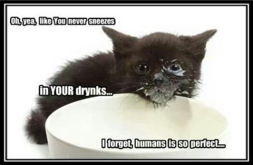 8905f2c78749d2a1a92013a616d7da73