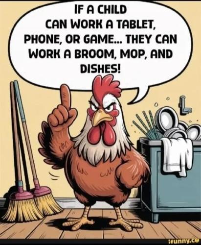 TESTHUB_photos_users_KPBY8Tc46ldqLjWXf6bqxqOW3AR2_-OkLjIAxO6cRAzl8rRvB_img_rsz__1100x1100