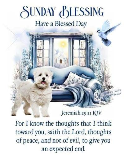 626214537_893798680048867_1876273126235401003_n