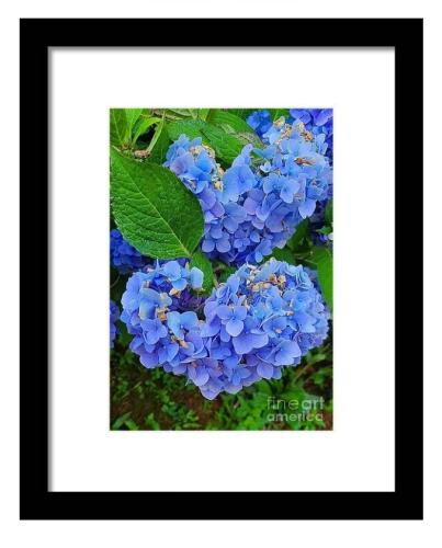 Screenshot_20260206_111855_Brave