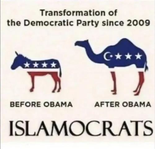 img_rsz__1100x1100 (28)