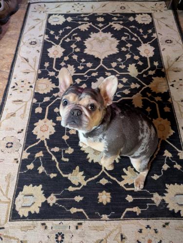 a3b4ec6c-b389-4349-8655-67f6a162ec96