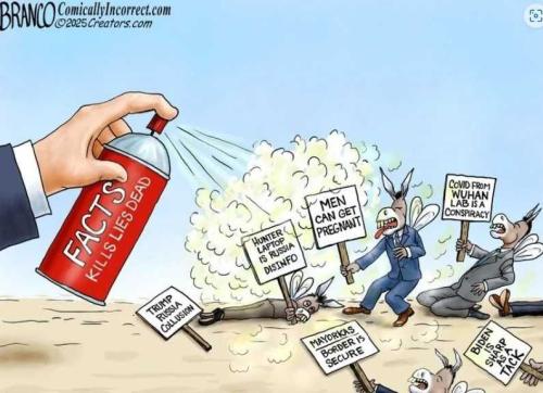 zw3TxgBGxRjlX7WTE2Un_25_d952e004bd60bd2e2108a5e8d8c537c6_image(1)