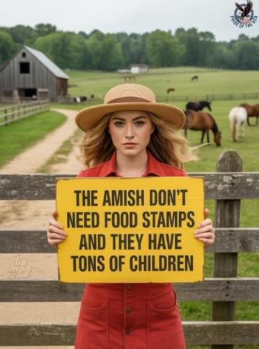 main-qimg-9ed13d1c340b189cd27d77d5cd4032cc