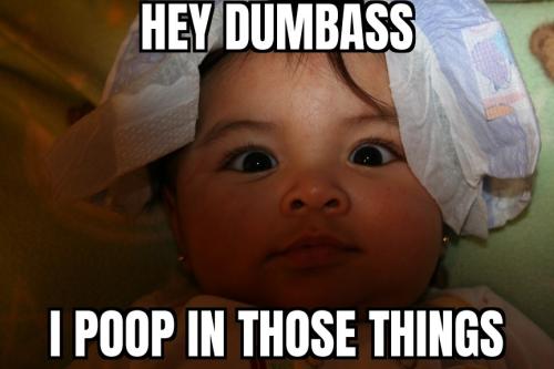 ZomboMeme 09022026230759