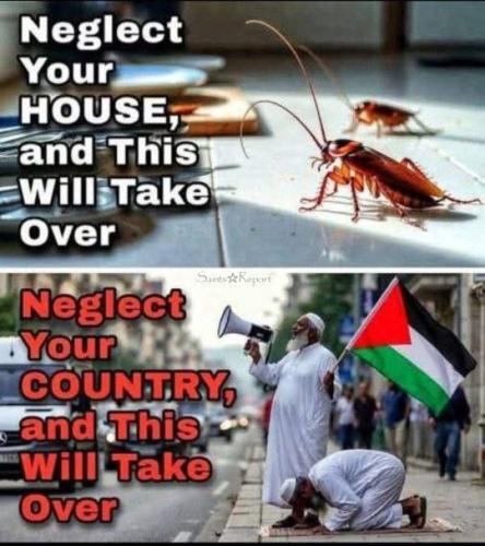 IMG_20260221_102342_834