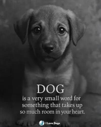 TESTHUB_photos_users_KPBY8Tc46ldqLjWXf6bqxqOW3AR2_-OlgPWHYu02DfhJnsBAD_img_rsz__1100x1100