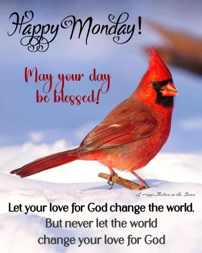 625971923_870958549046177_1179201945495706318_n