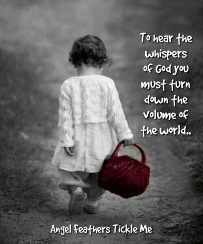 45f6df260d86f3504c9a210ded6984d2