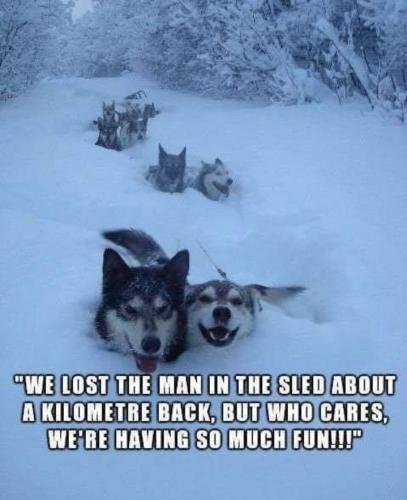 Screenshot_20260223_083756_Gallery