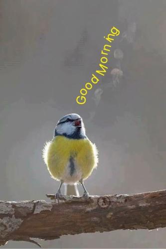 589f29056af5b978cbf212326fe716e5