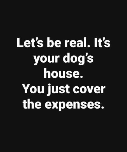 c4d7291f1fe1a41ad74d378ed41e5f14