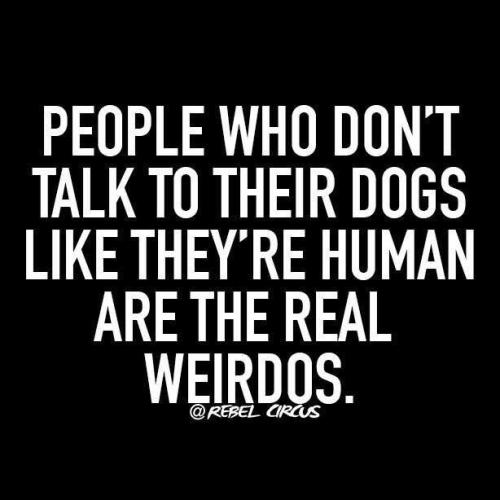 2a4a1685a3171d04de98e51fbcedde53