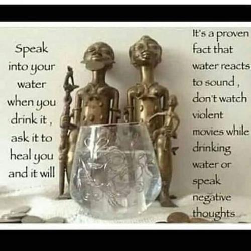 ,      ,     423131509_31904032113