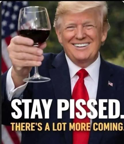 17718431781567125540344260003300_1072208183993533