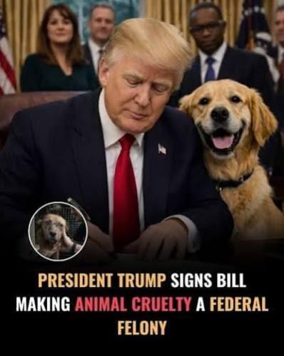 2d5888d349416d753c548ecee0aa34e2