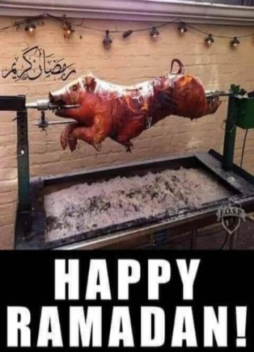 image_7208E6CB-7C37-41F7-A06F-F9345B3C9873