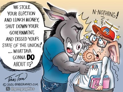 democrats-bully-republicans-2026-tina-toon