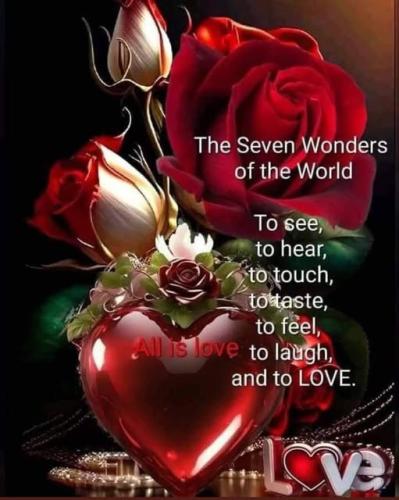 ,   418468121_2428009 (1)