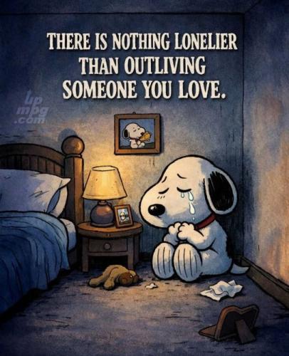 main-qimg-e6569a85401fcf832278694c47df746c