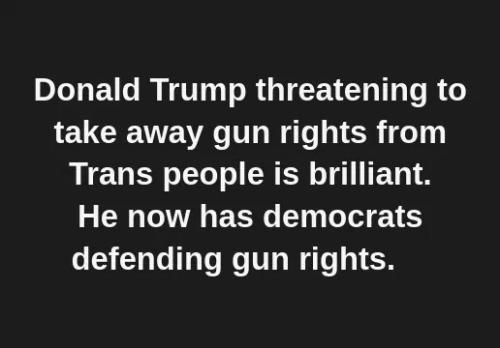 trump-gets-democrats-defend-guns