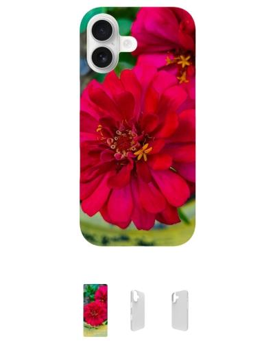 Screenshot_20260209_074006_Brave