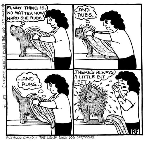 22107dfa89a72406c7c99552d5e19f14