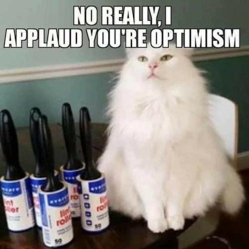 8cc1f38057530241cf1555e2975e2c49