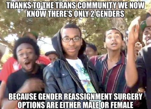 image_4ED33D96-234F-4F28-AD83-DD7BA31833FF