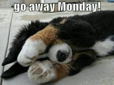 612dc1245807f067f4b35a470ded480d