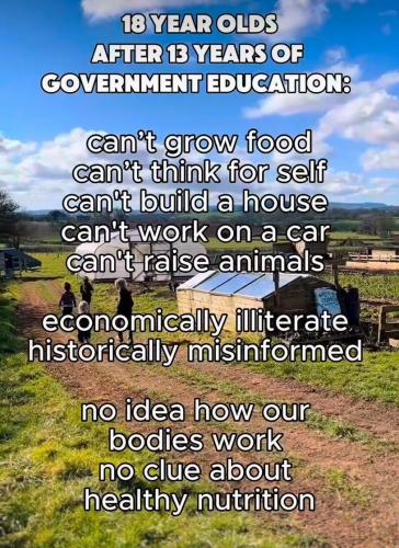 IMG_20260226_144624_730