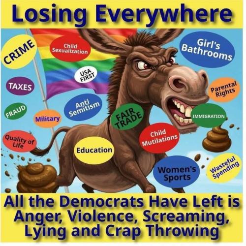 democrats losing everywhere