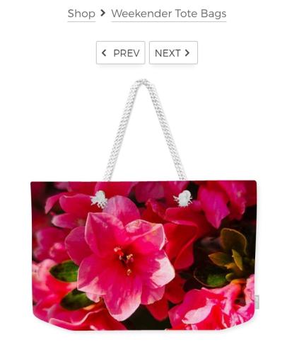 Screenshot_20260219_110438_Brave