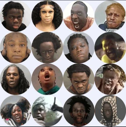 IMG_20260208_142127_631