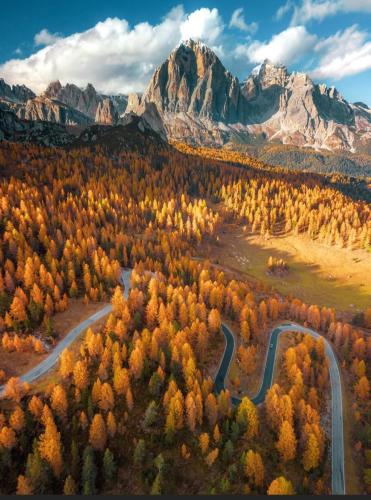 RDT_20260219_144714822841131270781178