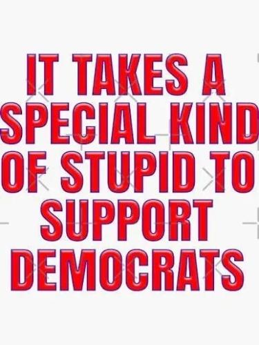 TESTHUB_photos_users_KPBY8Tc46ldqLjWXf6bqxqOW3AR2_-OmAGZ_h7MfRi3Zb7FRY_img_rsz__1100x1100