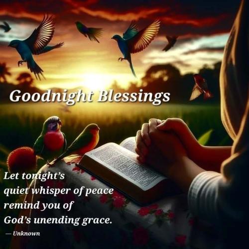 641350685_913924674340909_2650448876806729047_n