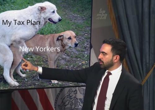 main-qimg-b5b1f9a69f99e5febe3cb13bdd492d34