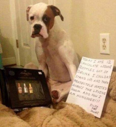 Screenshot_20260201_063733_Gallery