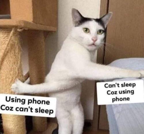 image_683313FD-49CB-403C-9201-3A9C5E0EE781