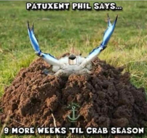 Screenshot_20260203_072243_Gallery