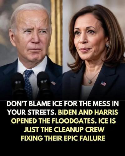 17712406133203502712019030334132_716748620176110