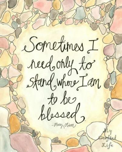 416d8db5e04f53ba2a3f5272e76a2501